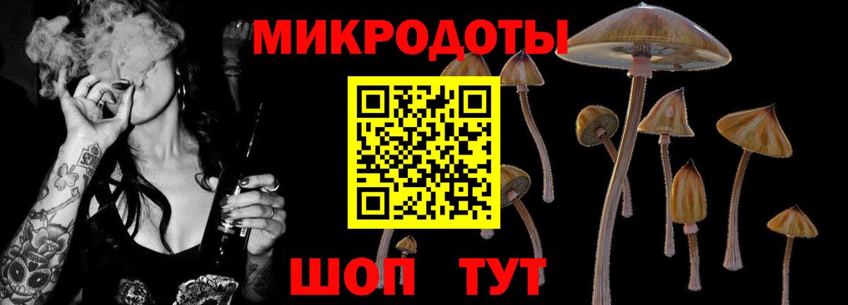 Галлюциногенные грибы ЛСД Череповец