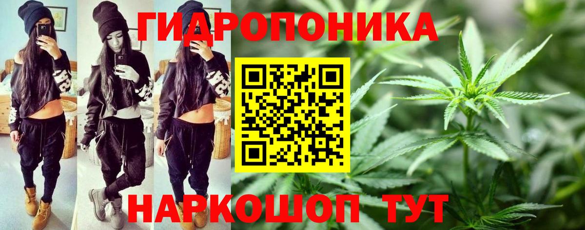 ГАШ Череповец